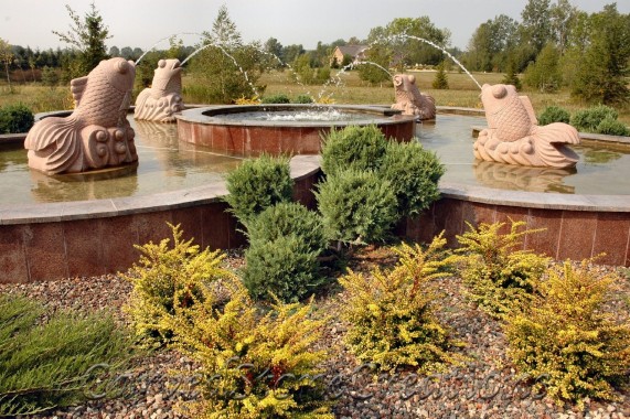 Spitting Goldfish Koi Fountain