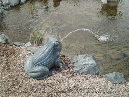 Spitting Frog Fountain