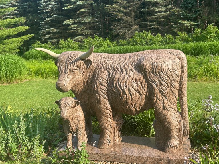 Scottish Highland Cow Statue, carved of Red B Granite
